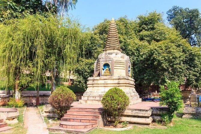 Varanasi to Bodhgaya: A Day of Spiritual Exploration - The Mahabodhi Tree: why this spot is the heart of the day
