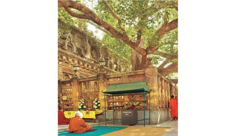 Varanasi to Bodhgaya : A day trip of Enlightment exploration - Mahabodhi Temple Complex and the Bodhi Tree experience