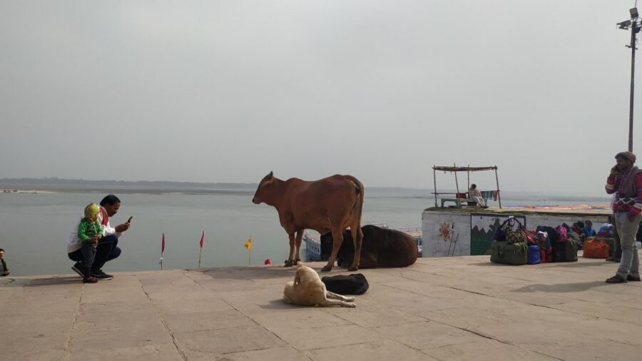 Varanasi Walking and Heritage Tour - Ganga Aarti Potential: A Beautiful Bonus If Timing Lines Up