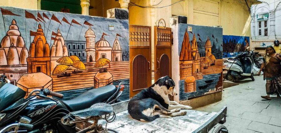 Varanasi Walking and Heritage Tour - Ratneshwar Temple and Chakrapushkarni Kund: The Supporting Cast
