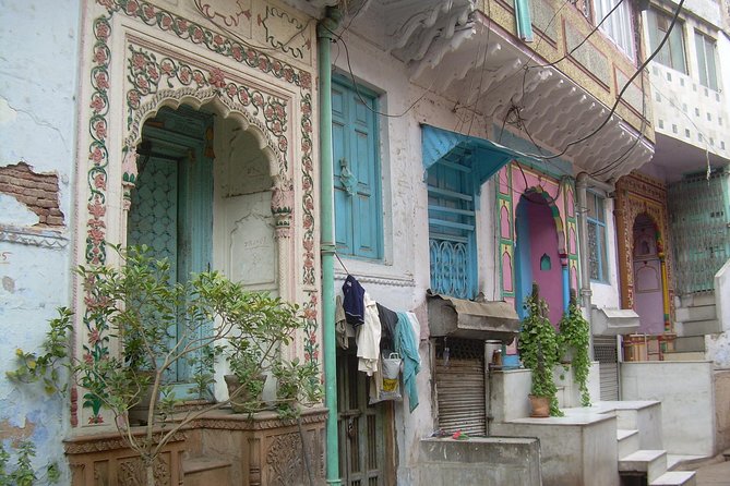 Vegan Food and walking tour in Delhi - Who this vegan Old Delhi walk is best for