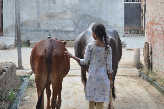 Village Snapshot - Pure and simple - Getting from New Delhi to Sonipat by A/C train