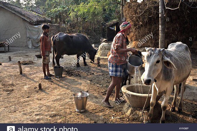 Village Tour - Key things to know before you go