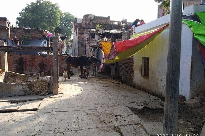 Village Tour - Your itinerary, step by step: what to watch for at each stage