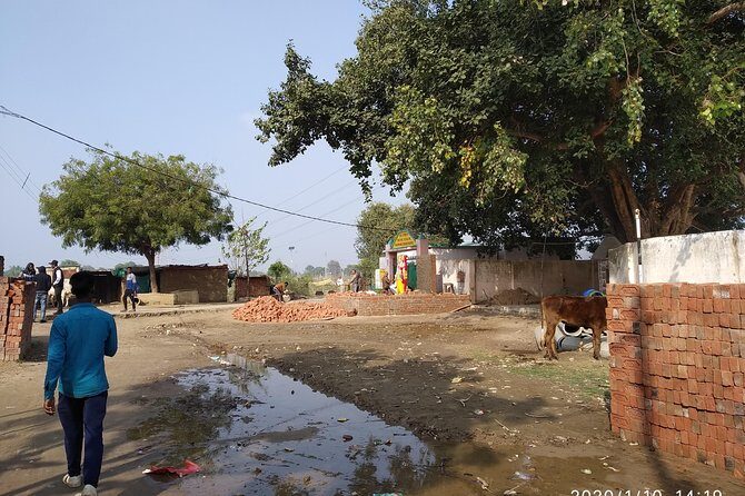 Village Tour - Boat time on the Ganges: fun, but plan around it