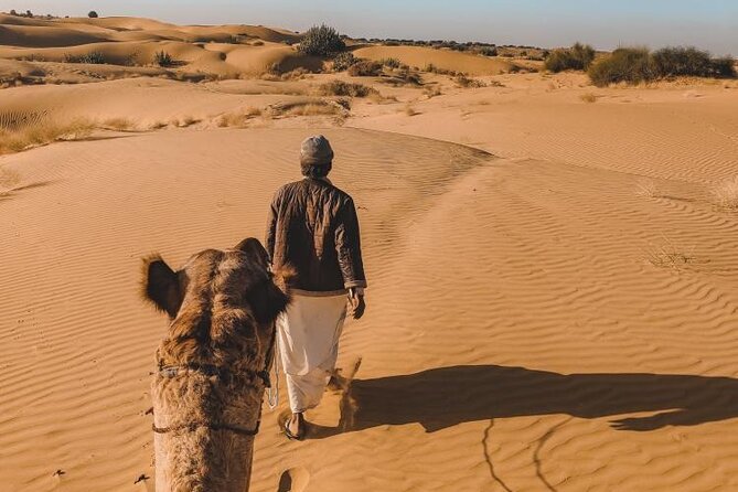 Wild Desert Overnight Safari - Getting from Jaisalmer: private transport that saves time