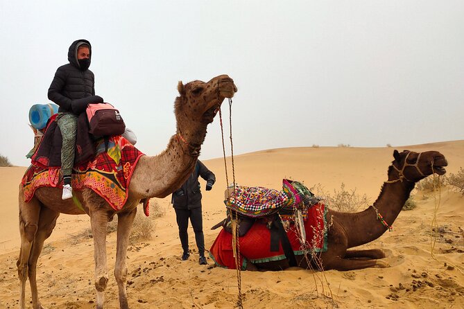 Wonderlust Desert & Camel Safari with Rumi Caravan of Thar Desert - Why the Thar Desert night near Jaisalmer is worth it