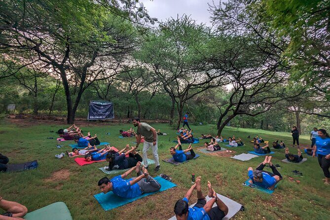 Yoga in Jaipur with Amit (Yogi on Travel) - Who This Yoga Session Suits Best (and Who Might Want to Skip)