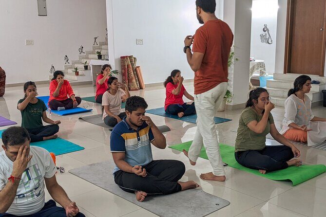 Yoga in Jaipur with Amit (Yogi on Travel) - The Park-Style Setting and How to Prepare